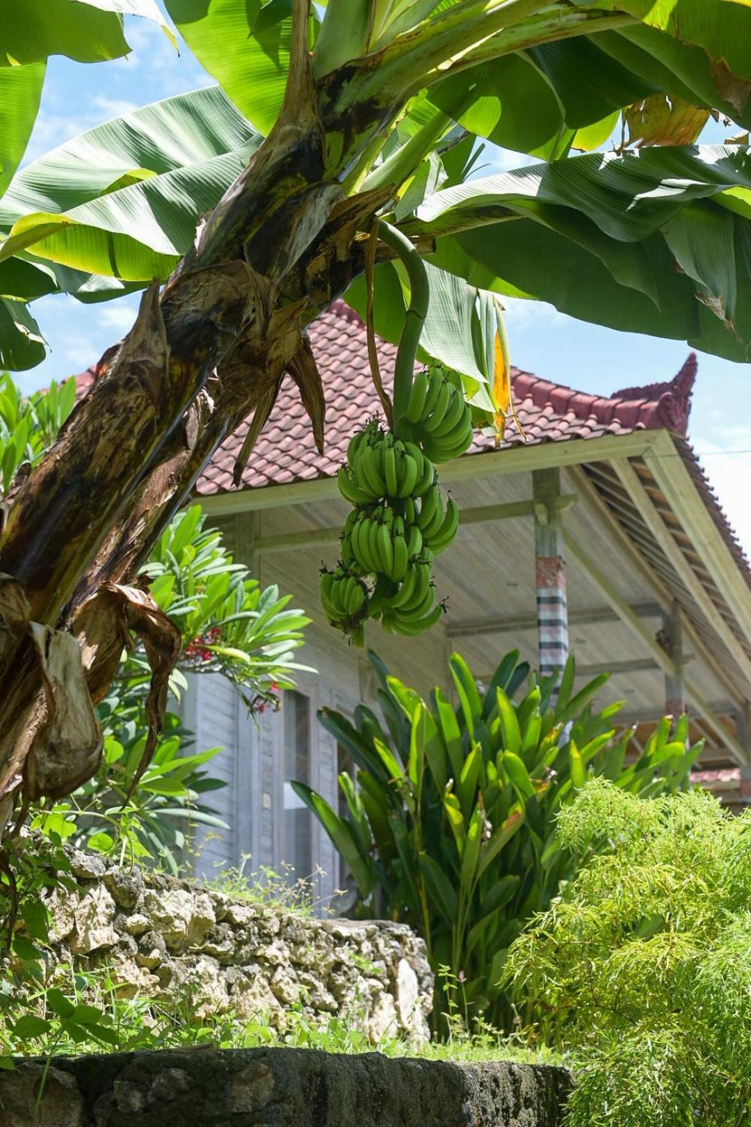 Mesari Hut Lembongan Hotel ภายนอก รูปภาพ